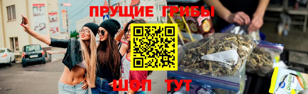 Липецк  Галлюциногенные грибы Psilocybe  Вход с VPN 
